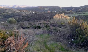 finca1