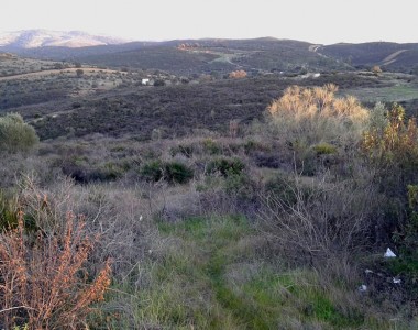 Finca rural de monte bajo