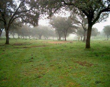 Finca en la sierra de Huelva
