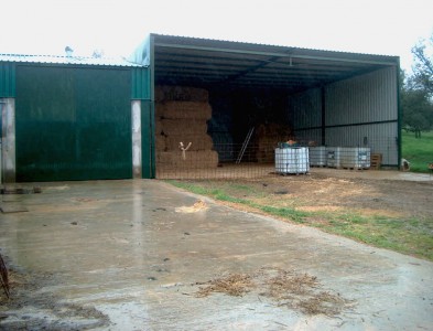 Finca de porcino en el Andévalo