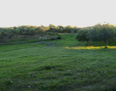 Finca rústica