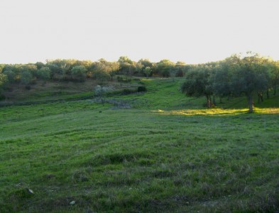 Finca rústica