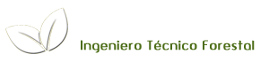 LUIS CEJUDO – Ingeniero Técnico Forestal - Gabinete Técnico de Ingeniería.