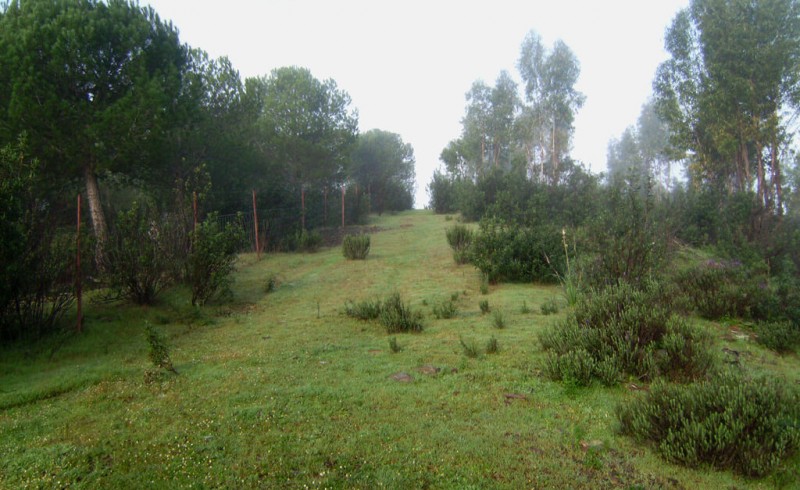 Finca en Zona centro Provincia de Huelva