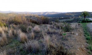 finca1_2