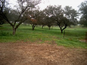 finca3_2