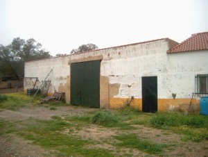 finca4_2